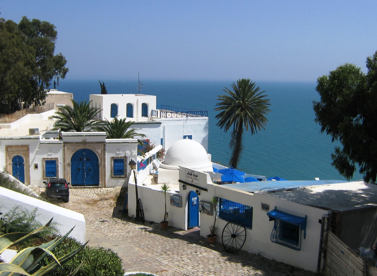 Casas blancas y azules de Sidi Bou Said junto al Mediterráneo