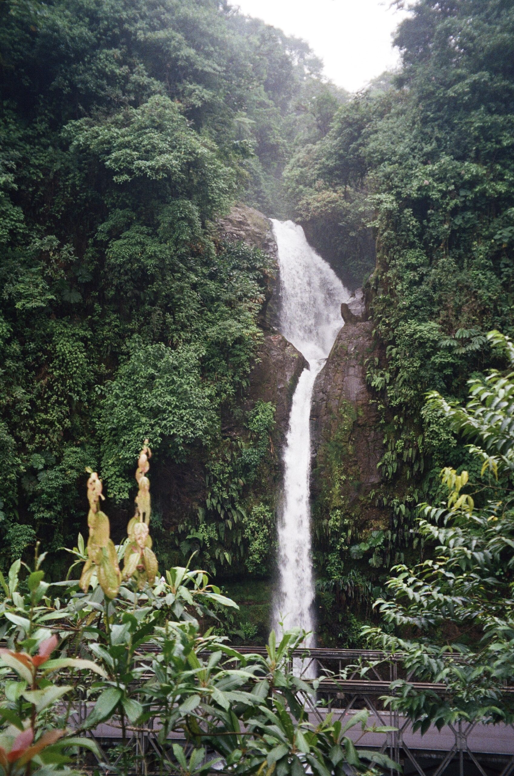Cascada rodeada de selva tropical en Costa Rica