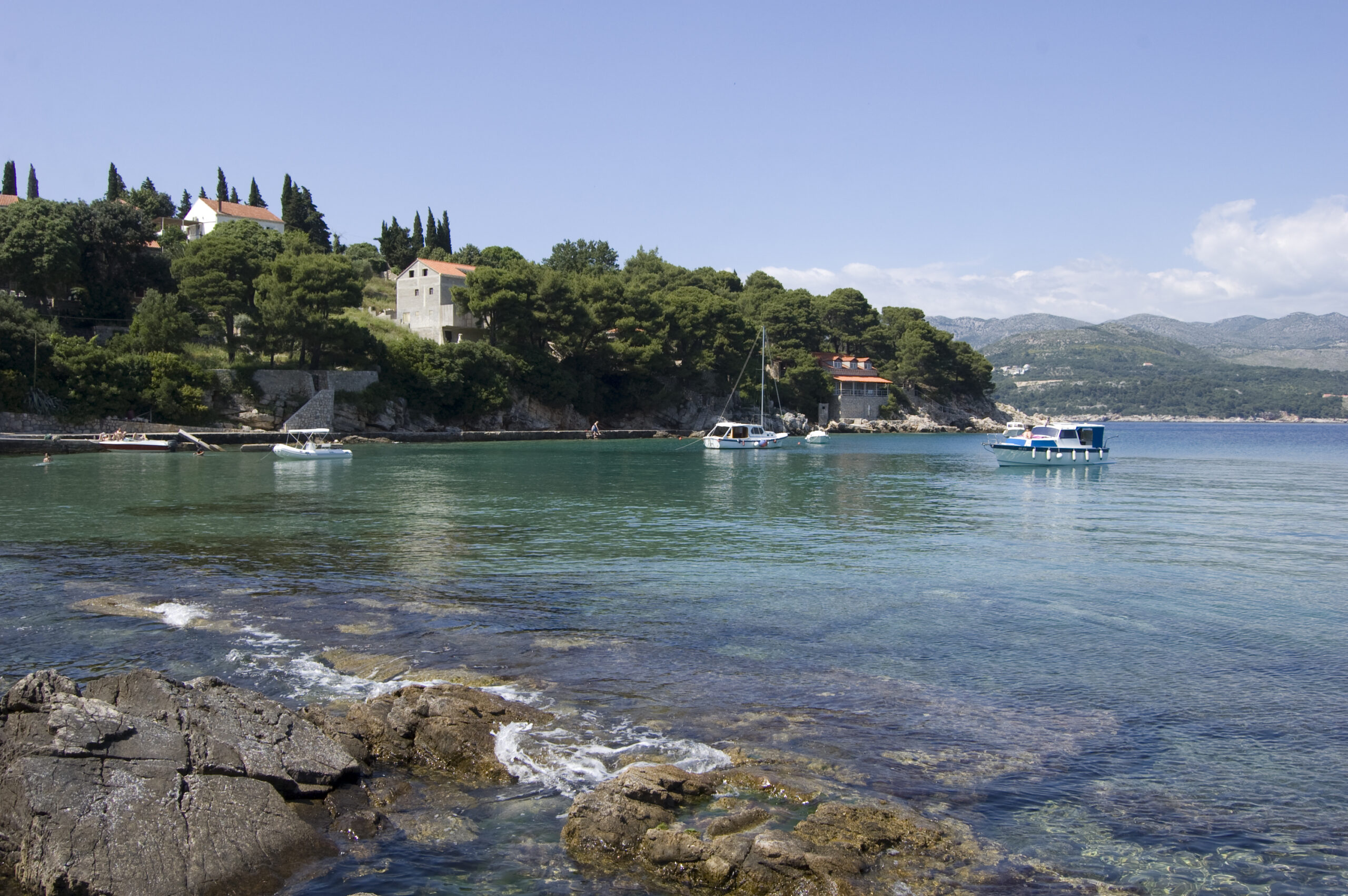 Cala de aguas transparentes y pinos mediterráneos en la isla de Koločep