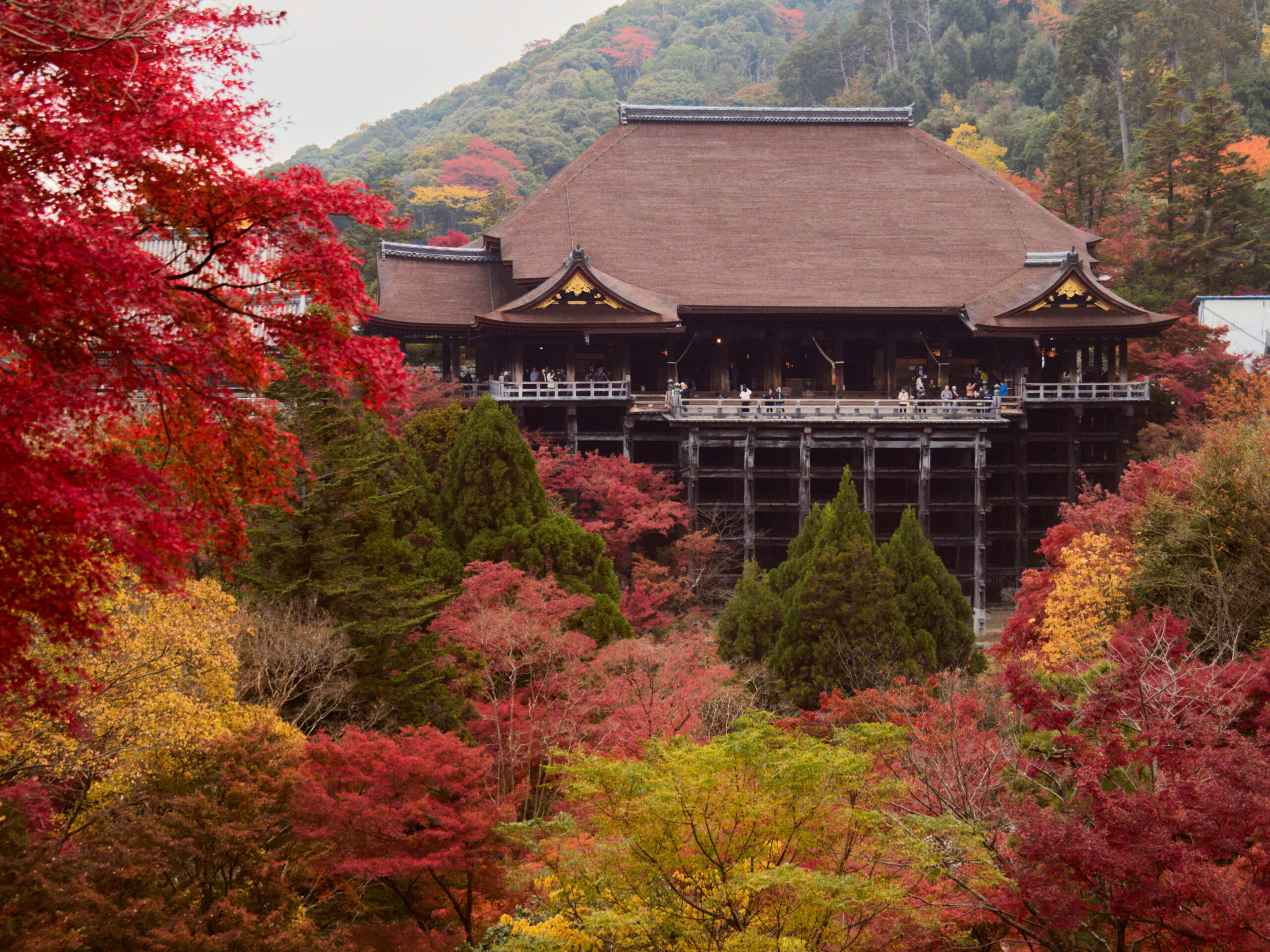 Templo histórico de Kioto rodeado de paisaje otoñal