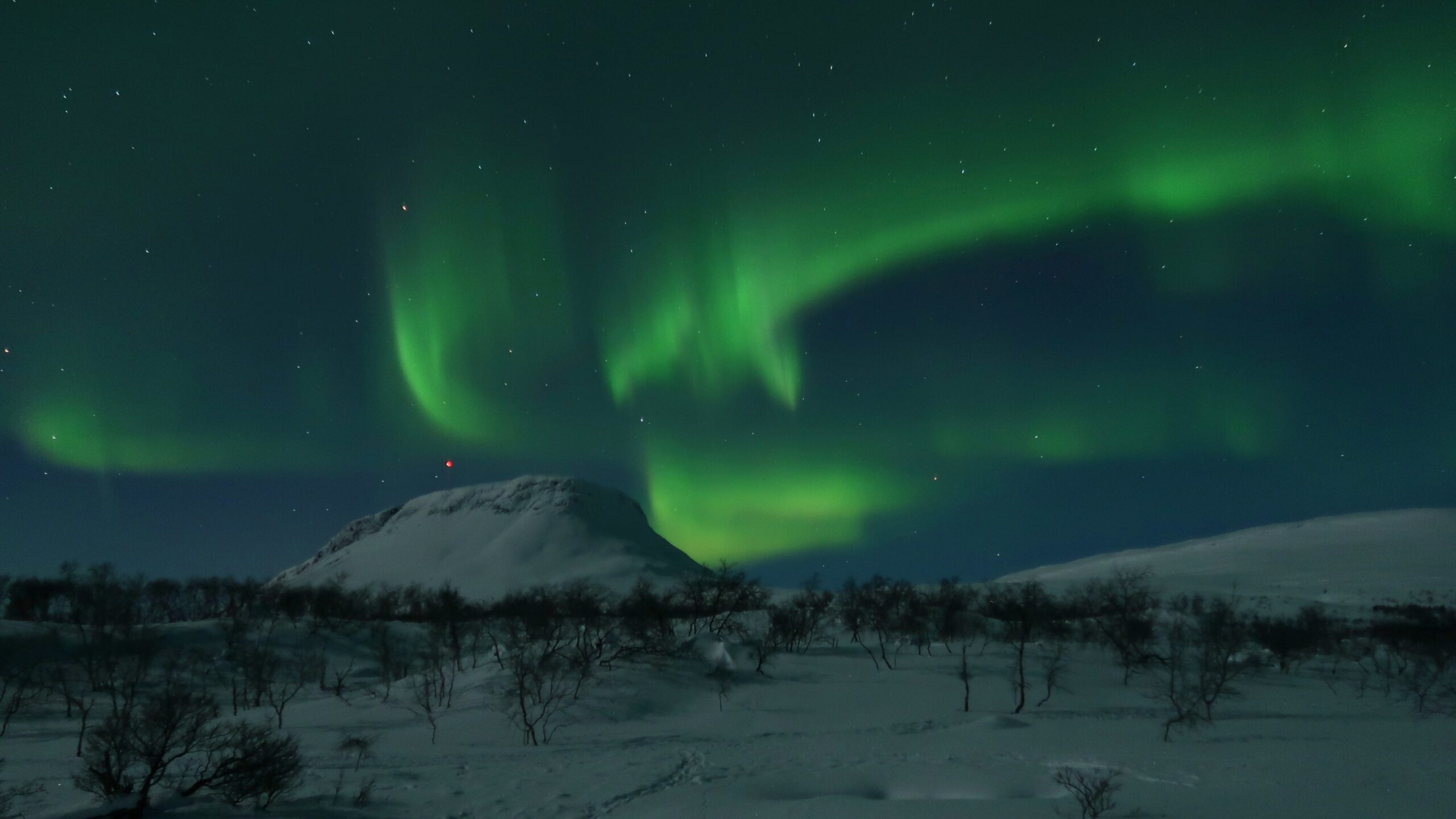 Aurora boreal sobre un paisaje nevado de Laponia