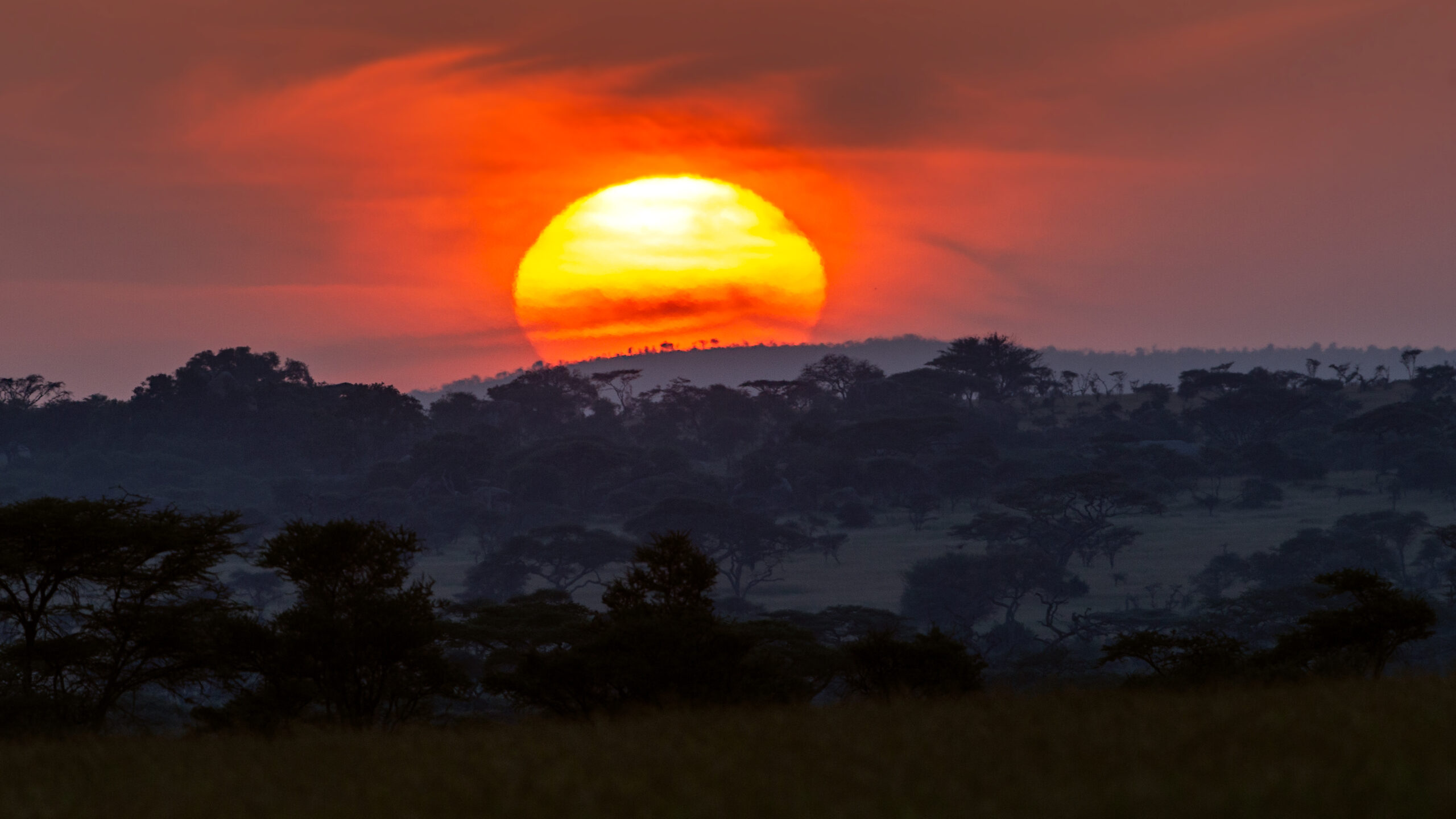 Paisaje de sabana al amanecer en el Serengeti, Tanzania