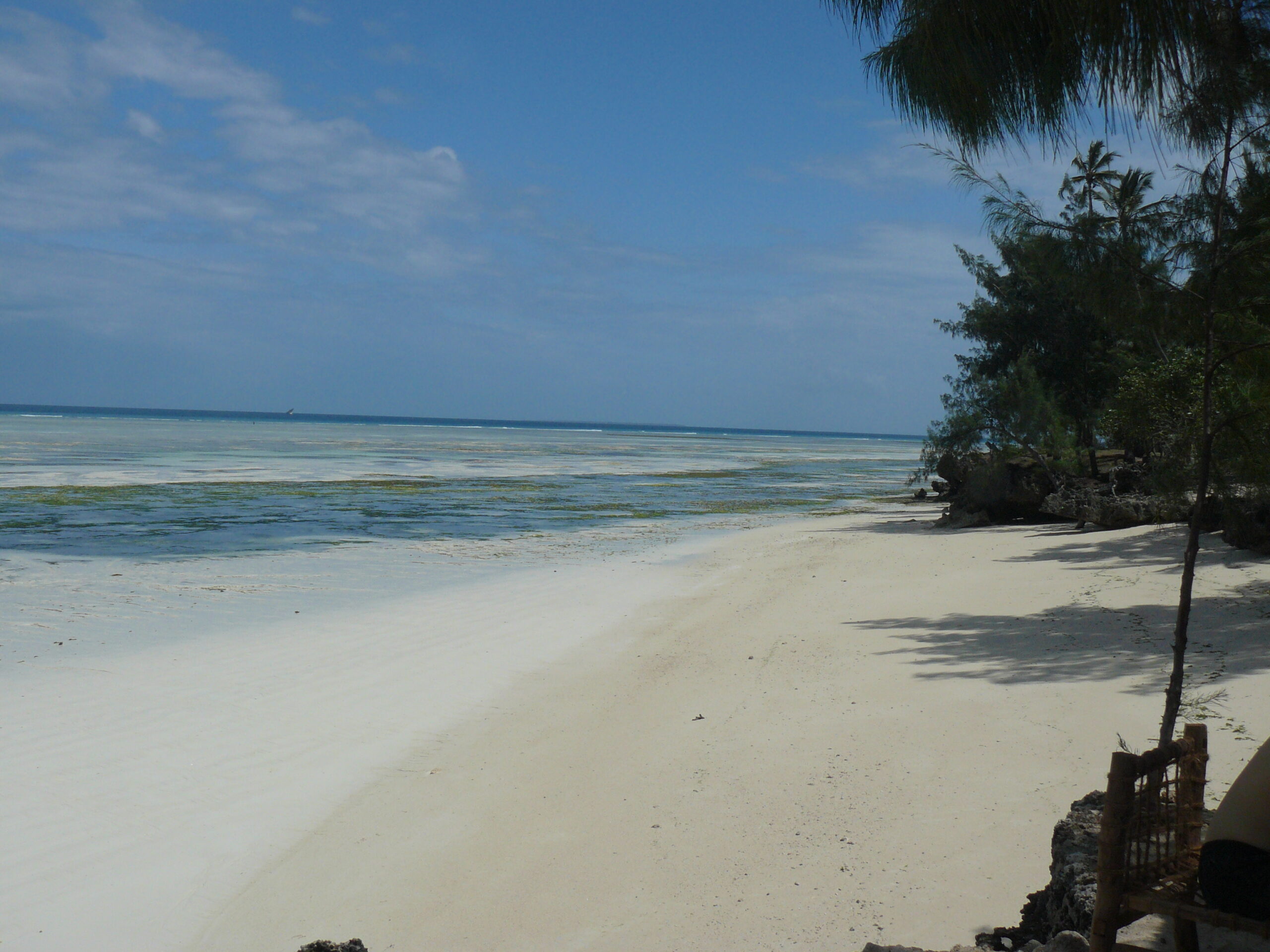 Playa tropical de arena blanca y agua turquesa en Zanzíbar